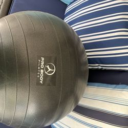 Exercise Ball Black