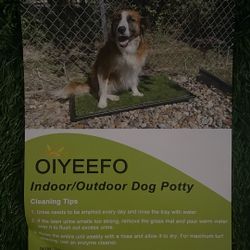 Pet Indoor Potty