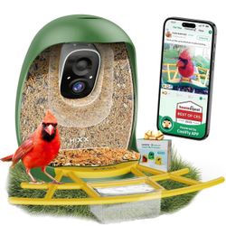 Smart Bird Feeder with Camera, Lifetime Free AI Bird Species Recognition, Solar-Powered Video Birds Feeder for Outdoors with HD Camera, Mounts Anywher