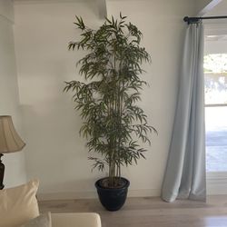 Artificial Bamboo Plant with Pot