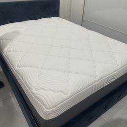 Full Size Mattress 