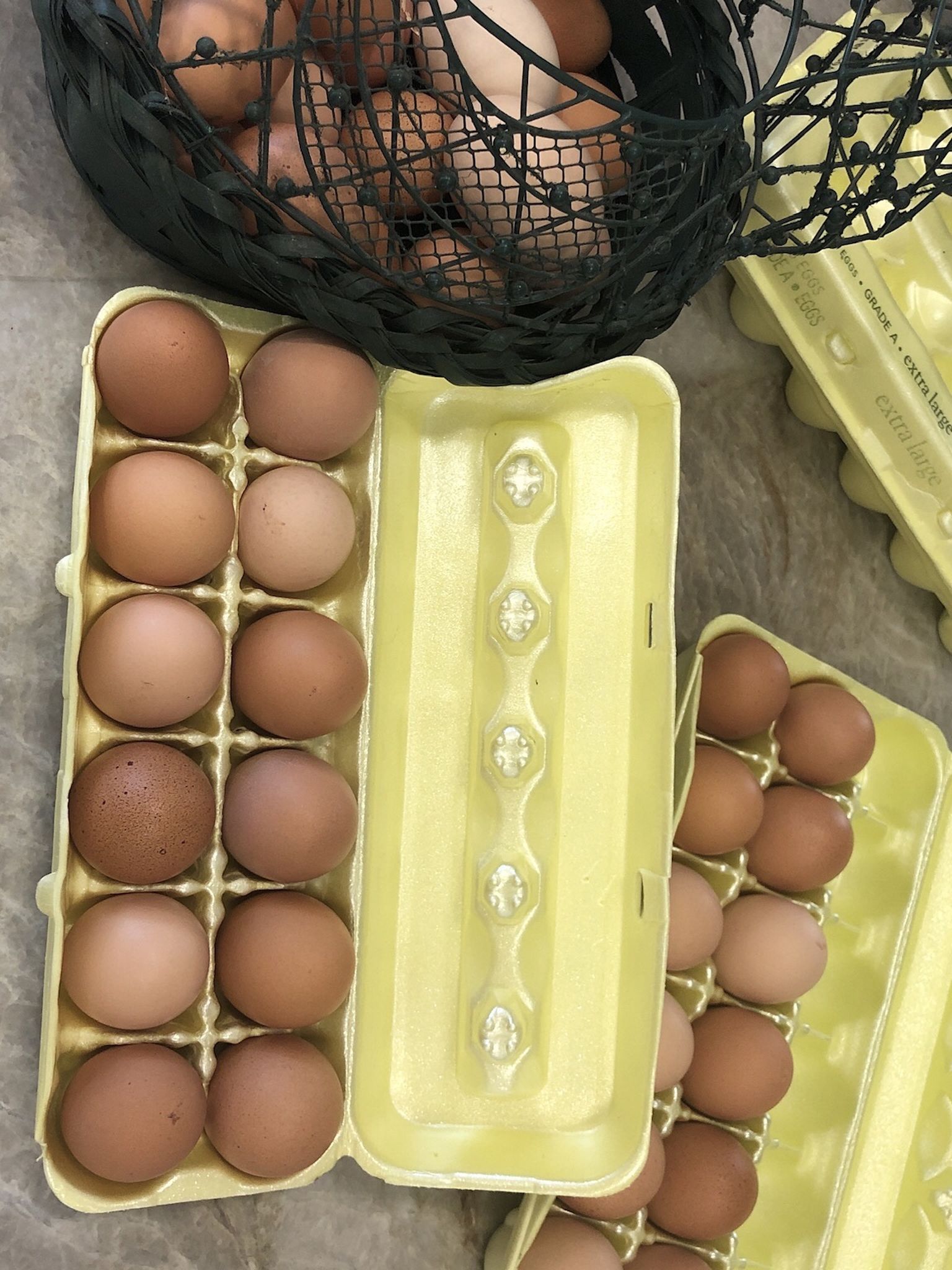 Farm Fresh Eggs