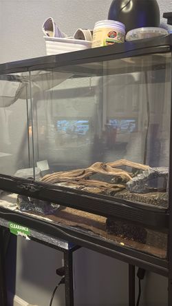 40 Gallon Tank (includes 🦎)..