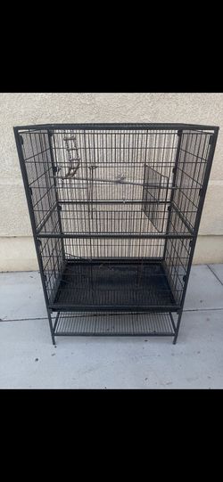 huge Bird Case Clean Excellent Condition