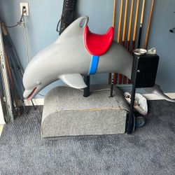 Ride On Dolphin 