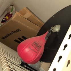 Everlast Speed Bag