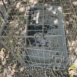 2 Dog  Kennels