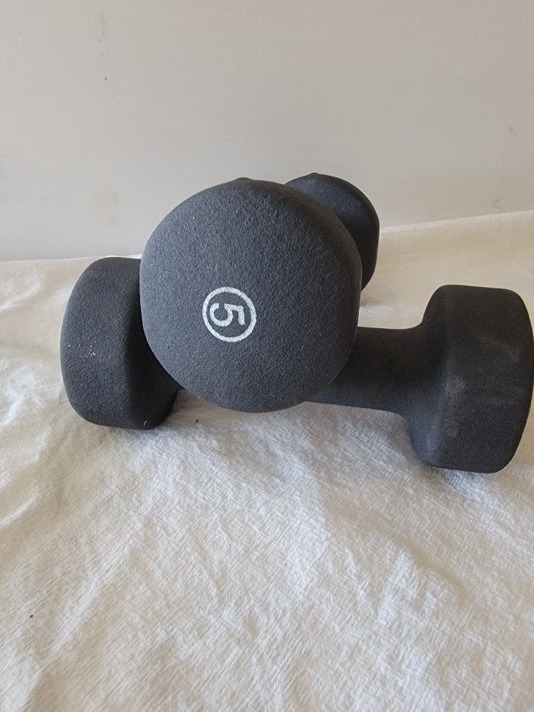 SET OF 2-5 LB HAND WEIGHTS IN GREAT CONDITION