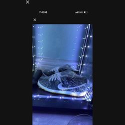 Nike Sb 