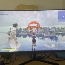 Monitor 