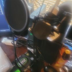 Microphone   And   Arm