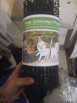 Intercept. Protect your plants from cats.