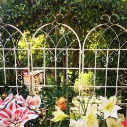 4 Pack Metal Garden Trellis 71" x 19.7" Rustproof Trellis for Climbing Plants Outdoor Flower Support Cream White