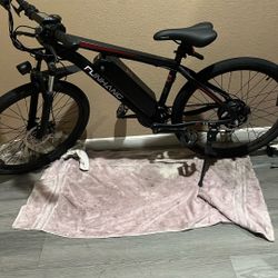 FunHang E-Bike