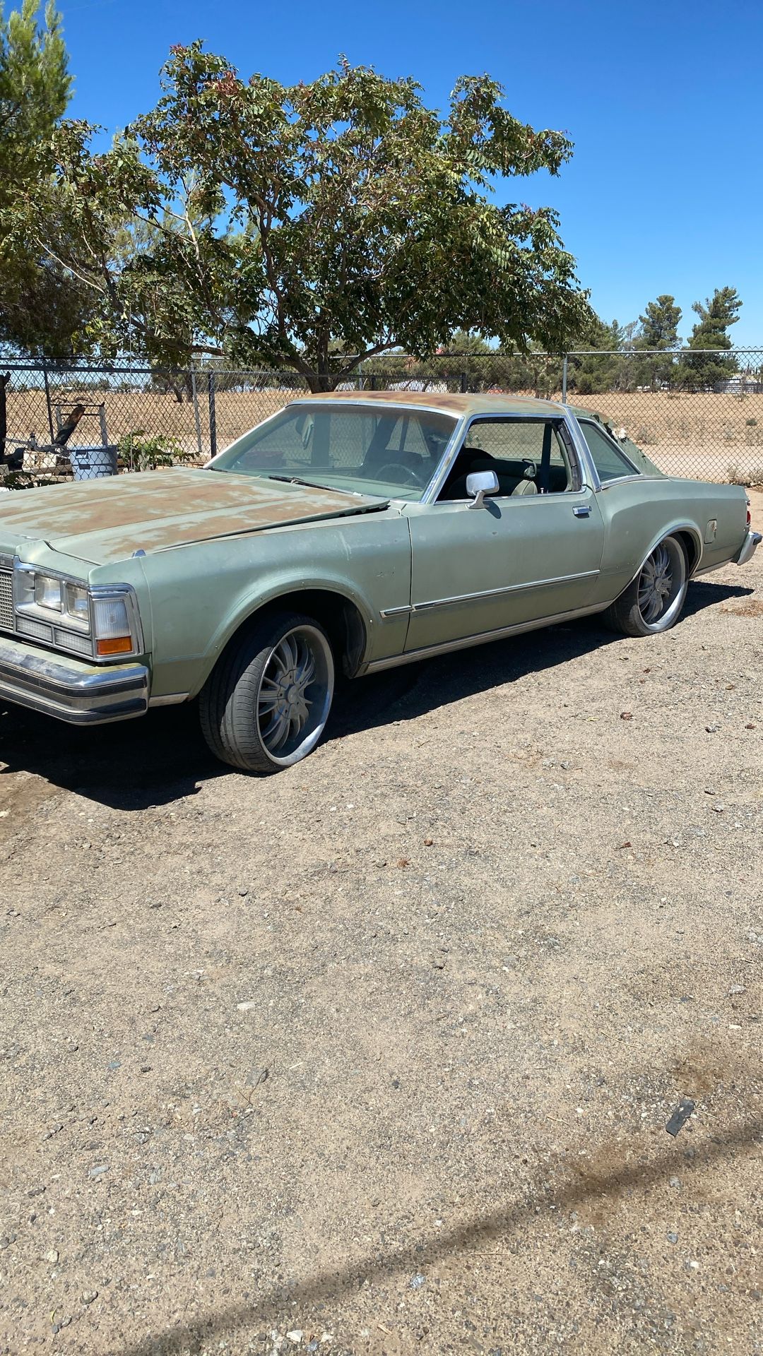 77 Dodge Diplomat
