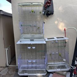 Free Bird Cages (Vision)