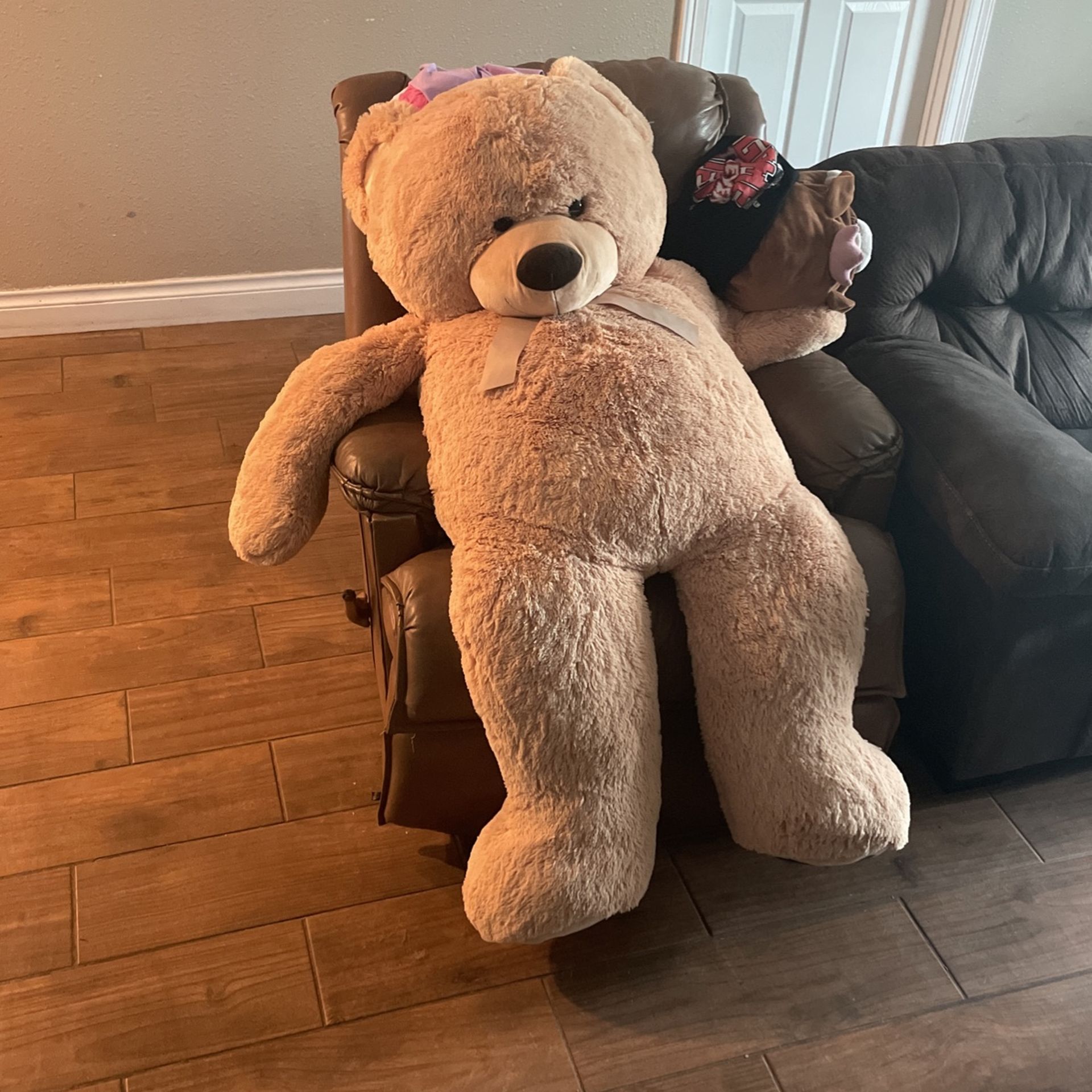 Giant Teddy Bear 