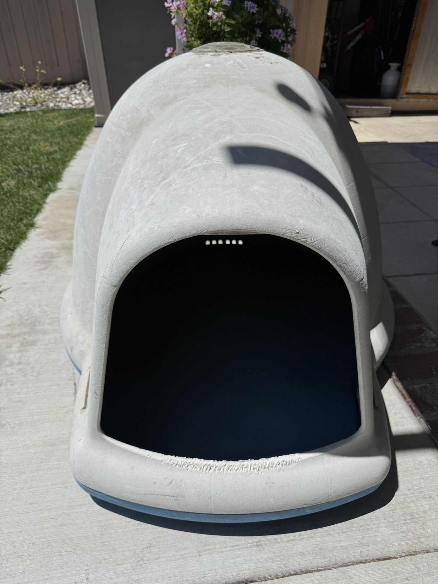 Dog House