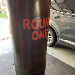 Round One punching Bag (Mint)