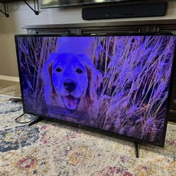 LG 49” 4K TV