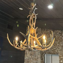 Deer Horn Hanging Lamp