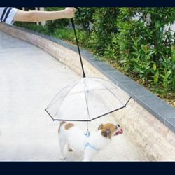 Adorable Dog Umbrella