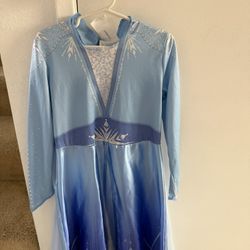 Elsa Dress Costume  Size 4-6