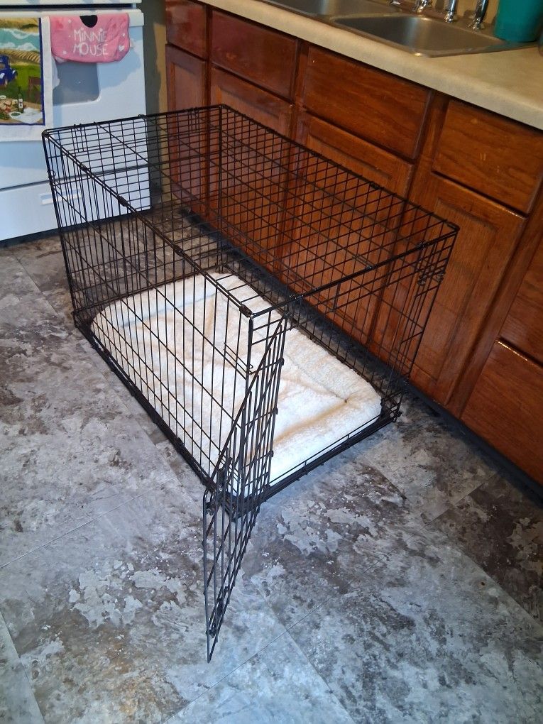Dog Cage