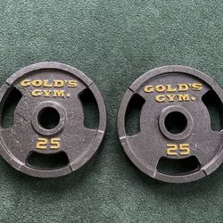 Gold Gym Plate Weights