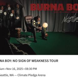 4 Tickets To Burna Boy - Suite Seats -