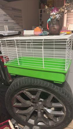 Green Guinea Pig Cage (used)
