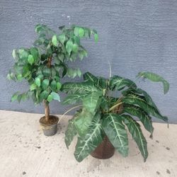 Plantas Artificiales Las 5 Por $30