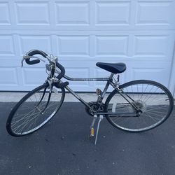 Panasonic Street & Road Bike