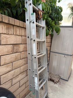 Ladder -Werner