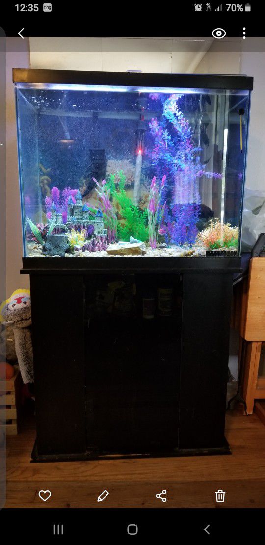 60 Gallon Column Fish Tank, Stand & Accessories 