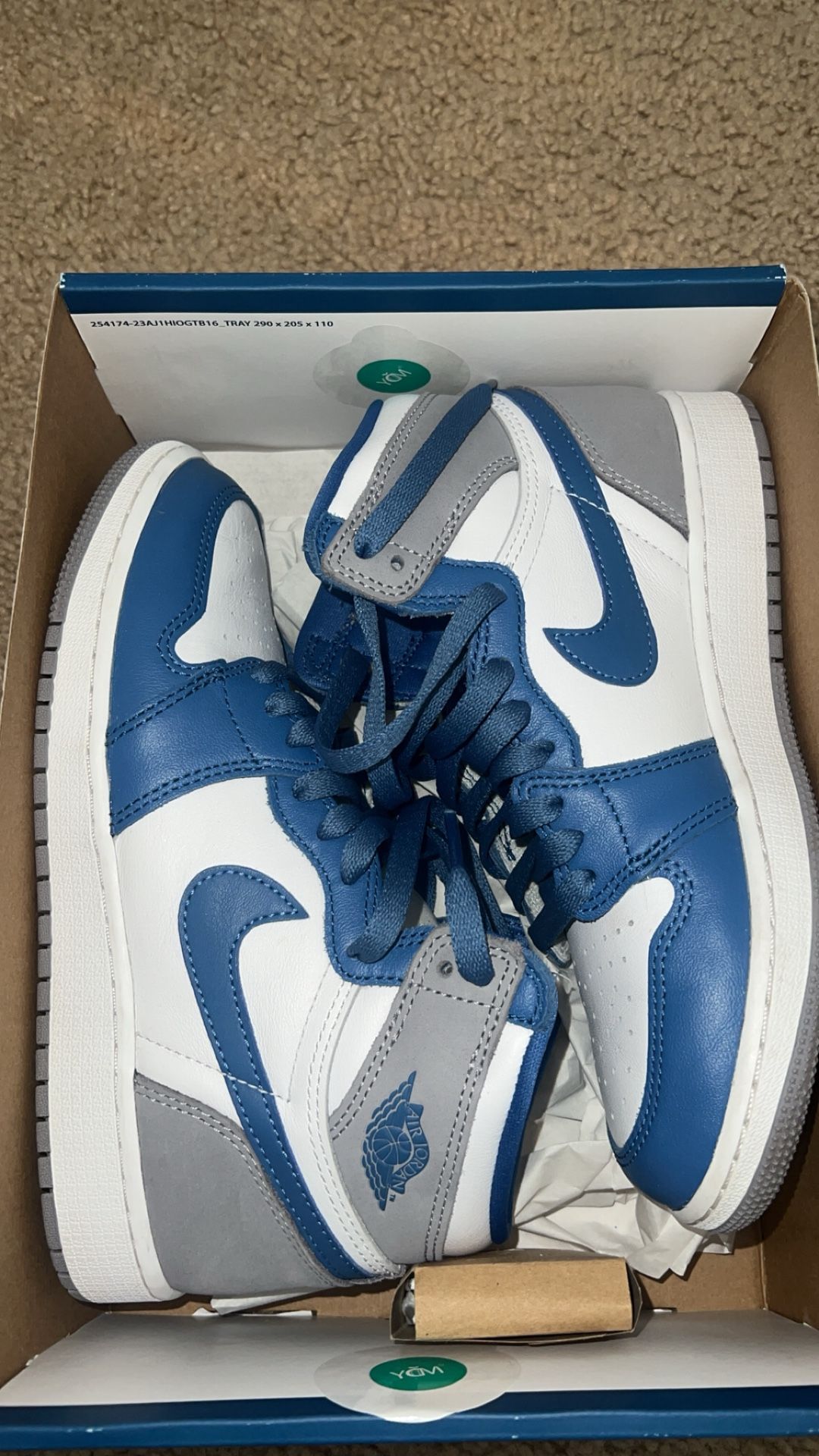 Jordan 1 High Size 5.5