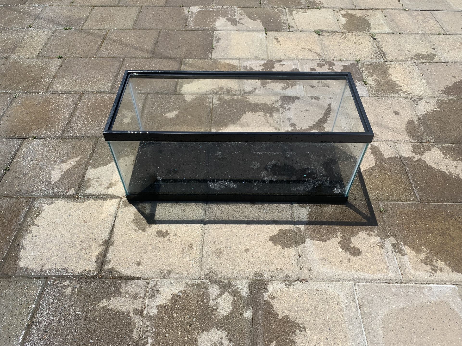 20 Gallon Fishtank