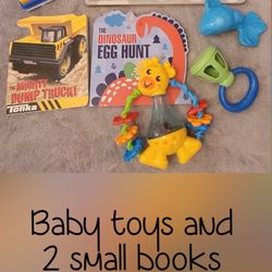 Baby/Toddler Toys