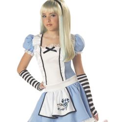 Alice And the Wonderland Halloween Costume 
