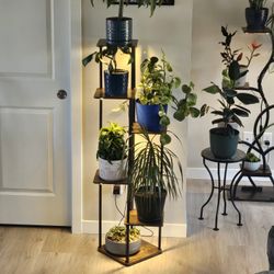 Plants And Plant Stand With Lights