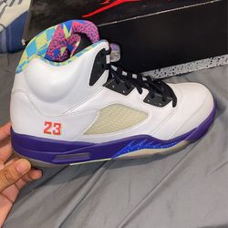 Jordan 5 Bel Air 11.5