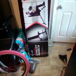 Work Out Bench