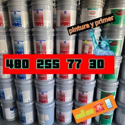 Paint Interior And Exterior 