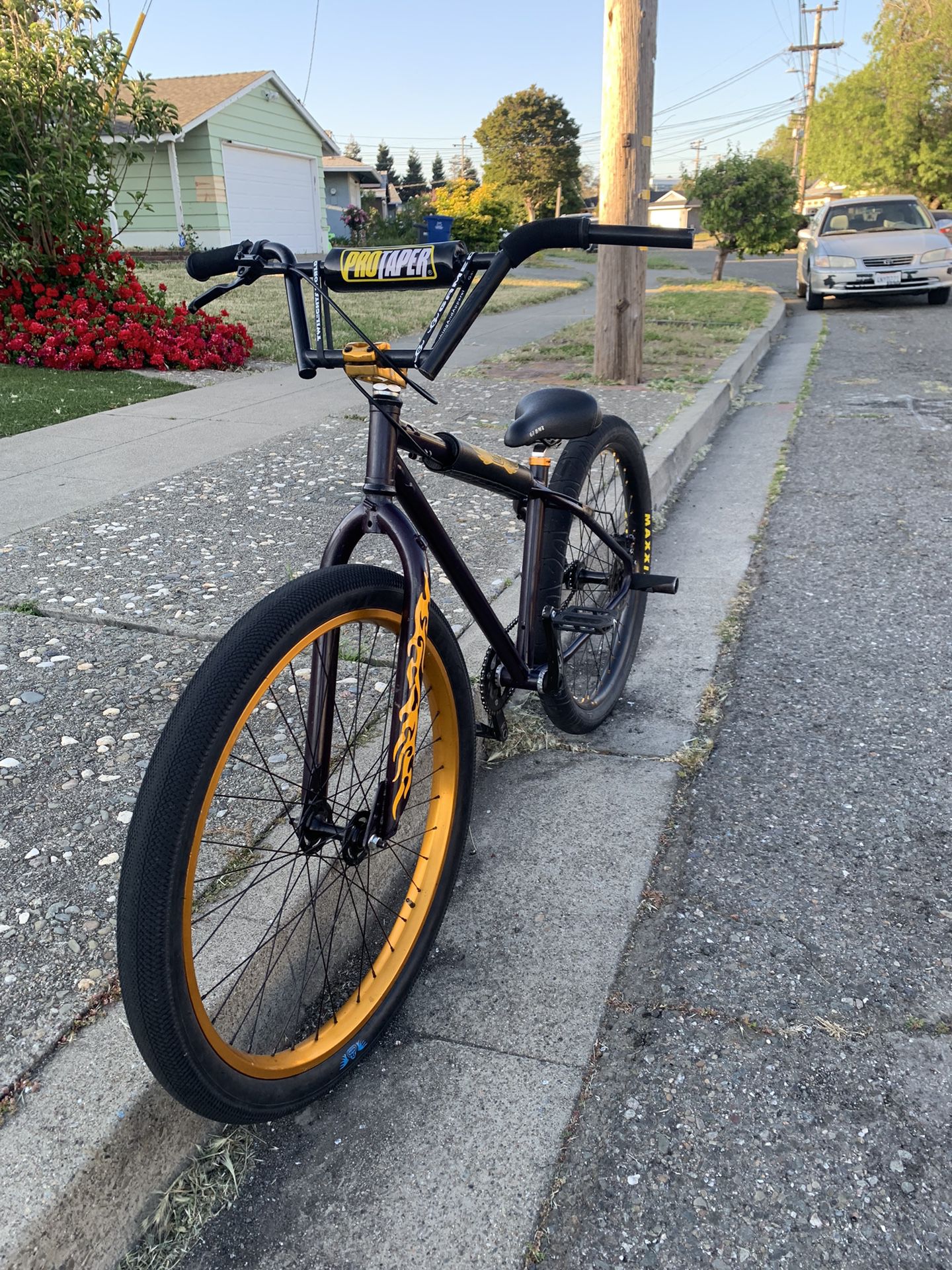 Customized Om Duro Se Bike
