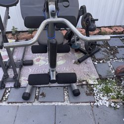 Weight Bench With Weights