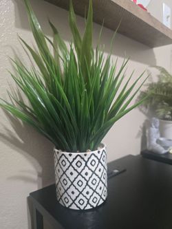 Artificial Plant