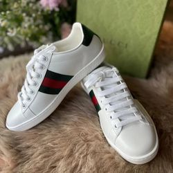 Gucci Ace Sneaker Size 12 US