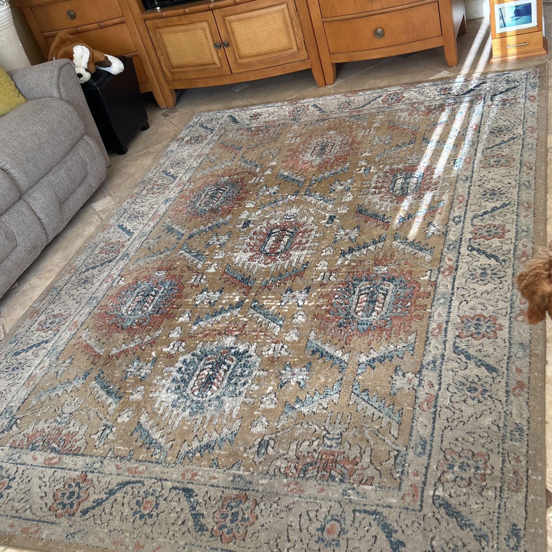 Indoor Outdoor Rug