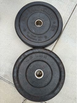45LB Mismatched Bumper Plates