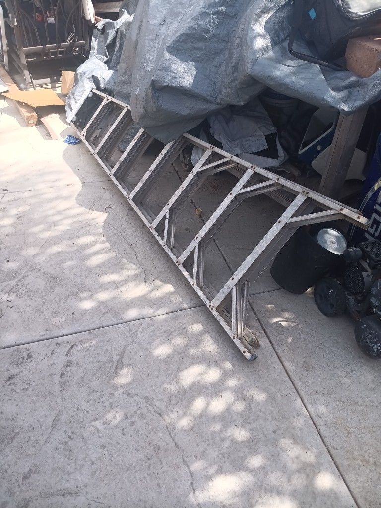 Ladder 8 Ft
